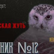 Сибирская Жуть Сборник 12