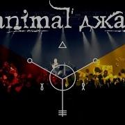 Animal Джаz Live