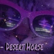 Desert Horse Anris