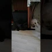 Ты Здесь Чувствую Я Тебя