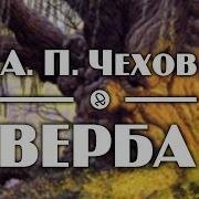 Чехов Верба