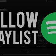 Folow The Spotify Playlist