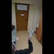 Мужик Кинул Чайник В Стену