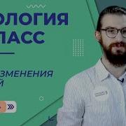 Видоизменения Корней 5 Класс