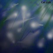 Cat Lick Moon Speed Up