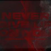 Ryan Shepherd Feat Georgi Kay Never Give Up On You Official Lyric