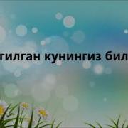 Шууурон Кунингиз Блан