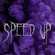 Медуза Speed Up
