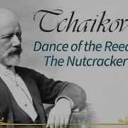 Tchaikovsky The Nutcracker Suite Dance Of The Reed Flutes