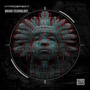 Introspect Mayan Technolog