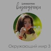 Окружающий Мир 3 Класс