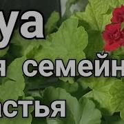 Дуа Для Семейного Счастья