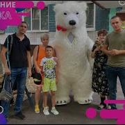 Заказать Мишку На День Рождения