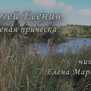 Песня Зеленая Прическа Есенин Фир Фариус Проект