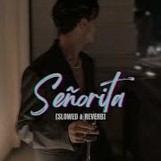 Senorita Slowed Tik Tok