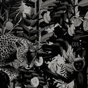 Havana Groove Original Mix Junglewood