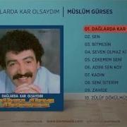 Şu Dalarda Kar Olsaydım