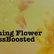 Samsung Morning Flower Bass Boosted