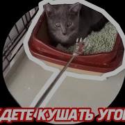 Вы Будете Кушать Угощения