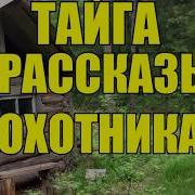 Аудиокниги О Таежниках