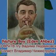 Владимир Чижик Natyre Boy