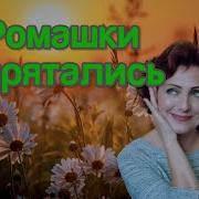 Ромашки Спрятались Юлия Боголепова