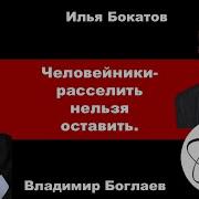 Владимир Боглаев На Канале Точка Сборки Человейники Расселить Нельзя Оставить Youtube