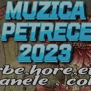 Melodii De Petrecere 2023