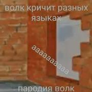 Волк Кричит На Разных Языках