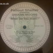 Fallout Shelter Feat Dihann Moore What Do You Want Deep Burning Dub