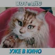 Кот И Пес Уже В Кино