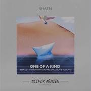 Shaen One Of A Kind Andrey Kravtsov Remix