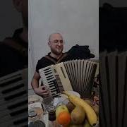 Али Саидов На Гармошке