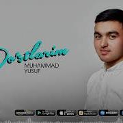 Muhammad Yusuf Dostlarim