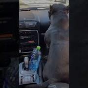 Катим По Району