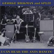 George Brigman Split Symphony In Effigy