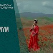 Hajy Yazmammedow Janym