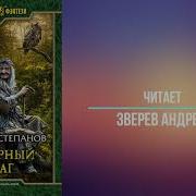 Николай Степанов Алтарный Маг Книга 2