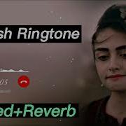 Turk Ringtone Mp3