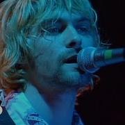 Nirvana Bloom Live