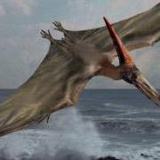 Pterodactyl Sound Effect