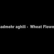 Shadmehr Aghili Wheat Flower