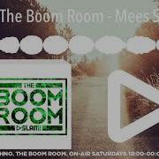 Mees Salome Boom Room