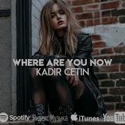 Kadir C Etin Where Are You Now