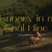 The Crane Wives Canary In A Coal Mine