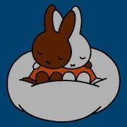 黒うさぎ Miffy