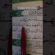 Курайш Сураси