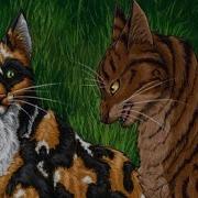 Copycat Коты Воители