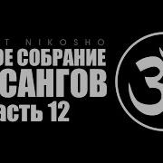 Полное Собрание Сатсангов Аудиокнига Читает Nikosho Часть 12