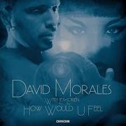 David Moraleshow Would U Feel Radio Edit